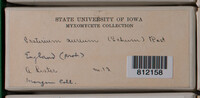 Image Associated With the Occurrence